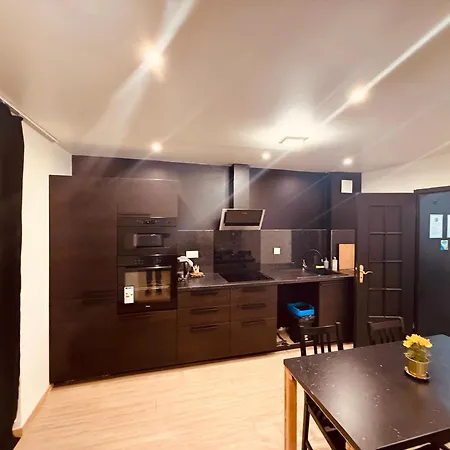 Lägenhet La Mulhouse, Acces Bale 20min, Proche Gare Tgv *