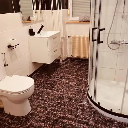 La Mulhouse, Acces Bale 20min, Proche Gare Tgv