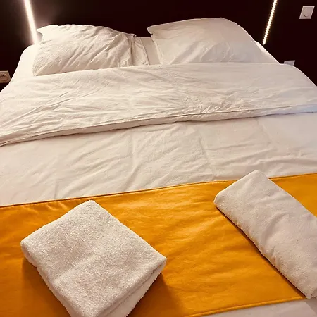 La Mulhouse, Acces Bale 20min, Proche Gare Tgv Appartement *