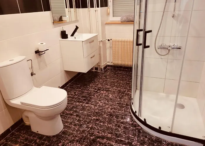 La Mulhouse, Acces Bale 20min, Proche Gare Tgv